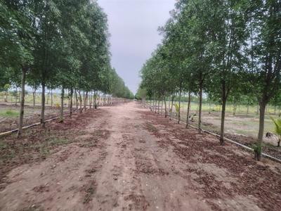 Image of 10000 Sq.ft Residential Plot / Land for sale in Bukkathurai, Chennai for Rs. 3000000