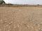 Sashte Plot View 2