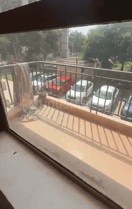 Image of 570 Sq.ft 2 BHK Apartment / Flat for sale in Sector 99A, Gurgaon for Rs. 5200000