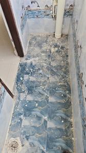 Image of 655 Sq.ft 1 BHK Apartment / Flat for rent in Kondapur, Hyderabad for Rs. 17500