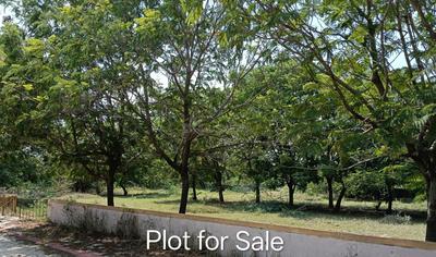 Image of 2700 Sq.ft Residential Plot / Land for sale in Bakeri Serenity Pastures, Lakshmanpura, Ahmedabad for Rs. 3510000