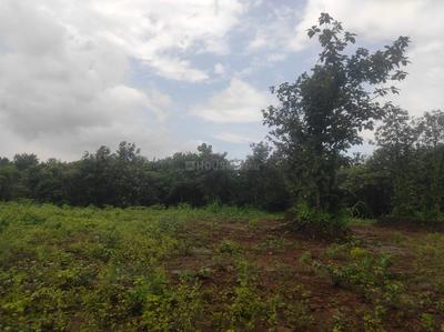 Image of 163350 Sq.ft Residential Plot / Land for sale in Murbad, Thane for Rs. 75000000