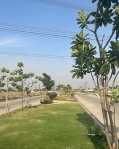 Image of 1000 Sq.ft Residential Plot / Land for sale in Skye Luxuria City, Higonya, Indore for Rs. 4000000