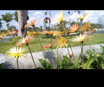 Image of 3602 Sq.ft Residential Plot / Land for sale in KPS Farmville, Tillor Khurd, Indore for Rs. 10000000