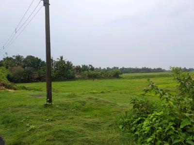 Golden city 2 Sonarpur Plot View 2