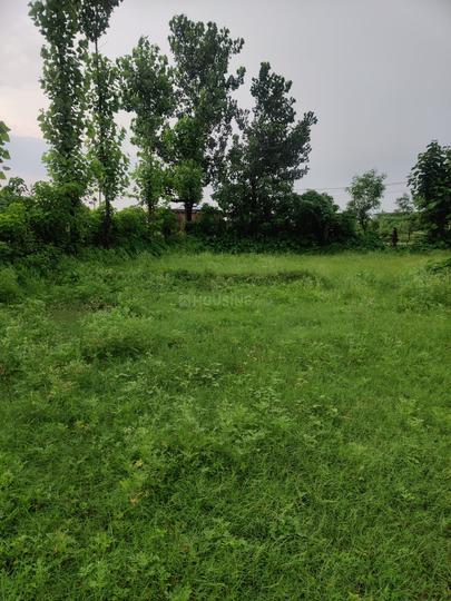 Image of 5600 Sq.ft Residential Plot / Land for sale in Srirampur, Kolkata for Rs. 12000000