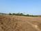 Nagaon Plot View 2