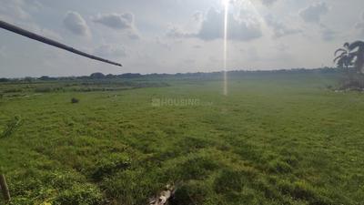 Image of 1200 Sq.ft Residential Plot / Land for sale in Pandav Nagar, Bhubaneswar for Rs. 4200000
