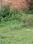 Housing Lonapur Estate Main Image 1