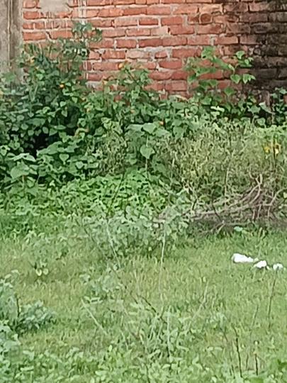 Housing Lonapur Estate Main Image 1