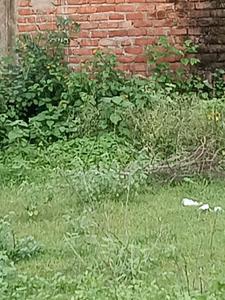 Housing Lonapur Estate Main Image 1