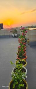 Image of 4710 Sq.ft 3 BHK Penthouse for sale in GMS Road, Dehradun for Rs. 26500000