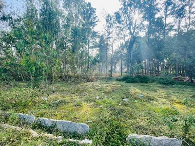 Image of 4000 Sq.ft Residential Plot / Land for sale in Nelamangala, Bengaluru for Rs. 20000000