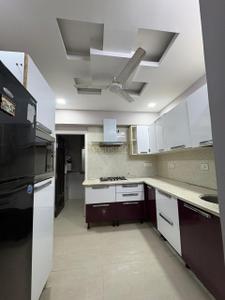 Kitchen Image of 1600 Sq.ft 2 BHK Apartment / Flat for rent in Palasia Indore for Rs. 40000