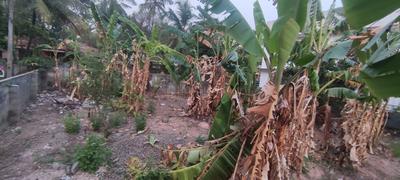 Image of 2178 Sq.ft Residential Plot / Land for sale in Chacka, Thiruvananthapuram for Rs. 11250000