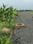 Only farm house Main Image 1