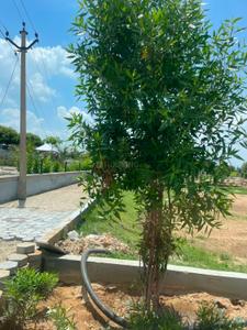 Image of 1515 Sq.ft Residential Plot / Land for sale in Narayan Vihar, Jaipur for Rs. 5951875