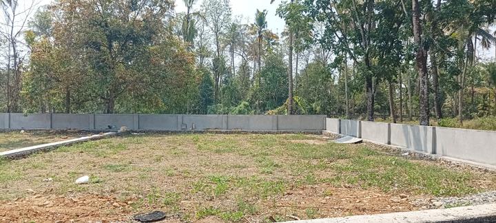 Ben Tom Main Image 1