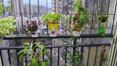 Balcony Image of 890 Sq.ft 2 BHK Apartment / Flat for sale in Puranik City Phase 3, Thane West Thane for Rs. 9600000