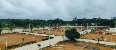 Plot View