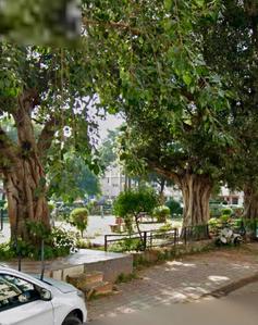 Image of 2700 Sq.ft 6 BHK Independent House for sale in Sector 28, Chandigarh for Rs. 135000000
