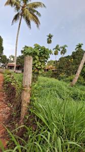 Image of 10454 Sq.ft Residential Plot / Land for sale in Thrikkakara North, Kochi for Rs. 16800000