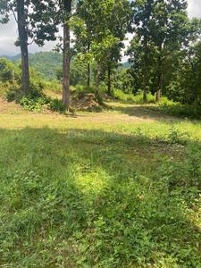 Image of 295 Sq.ft Residential Plot / Land for sale in Rajpur Road, Dehradun for Rs. 14750000