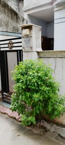Building Image of 450 Sq.ft 1 BHK Builder Floor for sale in Hansol Ahmedabad for Rs. 2000000