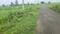 Naubatpur Plot View 2