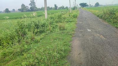 Image of 2712 Sq.ft Residential Plot / Land for sale in Naubatpur, Patna for Rs. 3000000