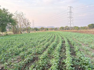 Image of 4000 Sq.ft 1 RK Farm House for sale in Simrol, Indore for Rs. 1200000