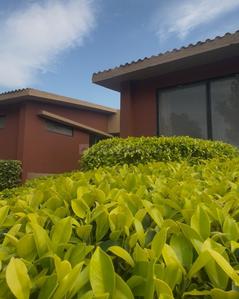 Image of 1800 Sq.ft Residential Plot / Land for sale in Aniyali, Ahmedabad for Rs. 1200000