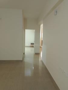 Hall Image of 1250 Sq.ft 2 BHK Apartment / Flat for rent in Balaji Elegance, Whitefield Bengaluru for Rs. 48000