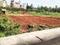 Vision Properties Sir M Vishweshwaraiah Layout 2nd Block Plot View 2