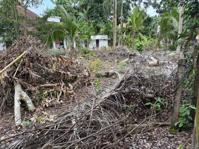 Maradu Plot View 2