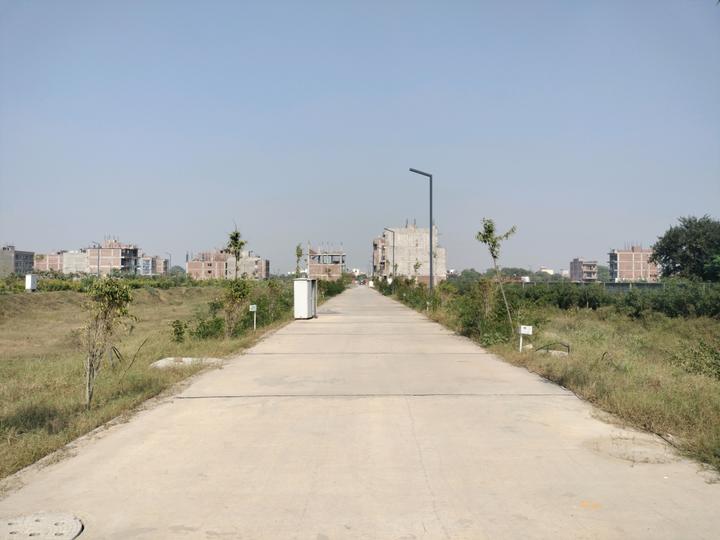 Amolik Aster Woods Main Image 1