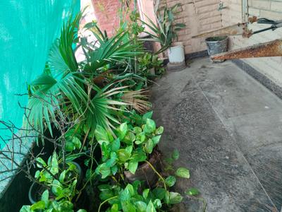 Balcony Image of 1160 Sq.ft 10 BHK Independent House for sale in Kamla Nagar Agra for Rs. 15000000