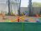 Novus gated community apartments More Images 3