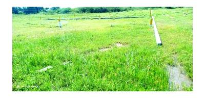 srinivasa nagar Plot View 3