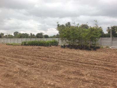 Image of 10890 Sq.ft 5 BHK Farm House for sale in Cholasamudram, Sri Sathya Sai for Rs. 163000