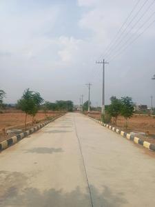Aspirealty Avatar Internal Roads 1