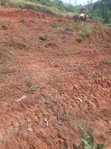 Image of 3682 Sq.ft Residential Plot / Land for sale in Ottapalam, Palakkad for Rs. 15355000