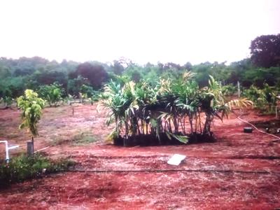 Image of 1089 Sq.ft Residential Plot / Land for sale in Belondakhar, Navi Mumbai for Rs. 328000