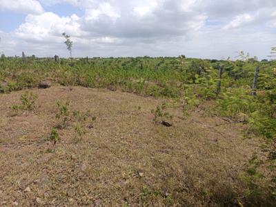 Image of 1100 Sq.ft Residential Plot / Land for sale in Lohegaon, Pune for Rs. 3617000