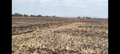 Image of 1089 Sq.ft Residential Plot / Land for sale in Pirkone, Navi Mumbai for Rs. 649999