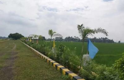 Image of 1200 Sq.ft Residential Plot / Land for sale in Kanke, Ranchi for Rs. 1500000