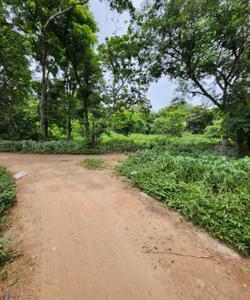 Image of 388 Sq.ft Residential Plot / Land for sale in Kudasan, Gandhinagar for Rs. 27160000