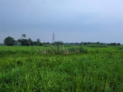 Image of 720 Sq.ft Residential Plot / Land for sale in Nest Valley, Joka, Kolkata for Rs. 240000