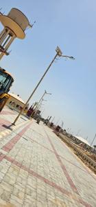 Swarn Path Plot View 2
