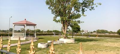 Image of 981 Sq.ft Residential Plot / Land for sale in Sector 65, Faridabad for Rs. 11600000